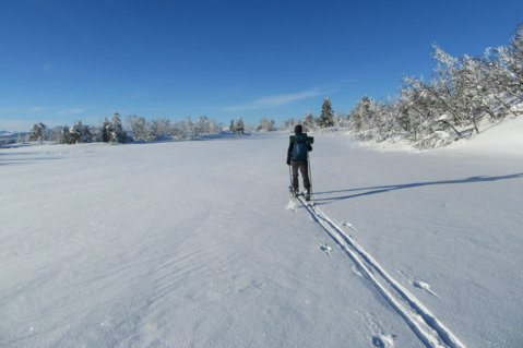 Meditasjonskronikken: I oppkjørte spor?